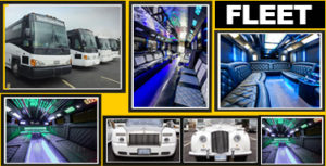 Party Bus Fleet